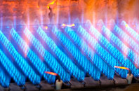 Broadlands gas fired boilers